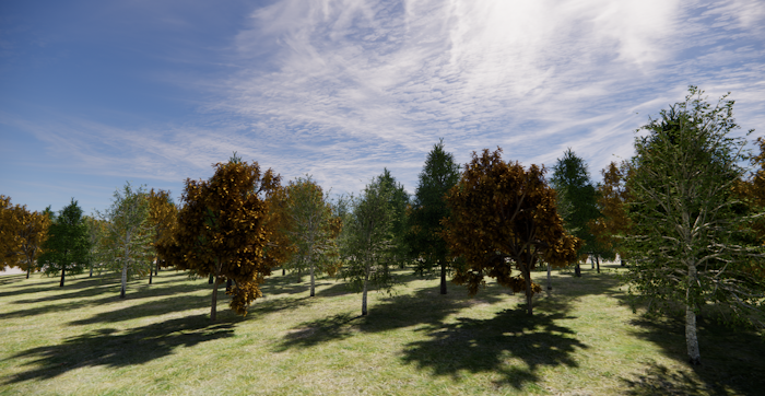 Forestry in RhinoLands