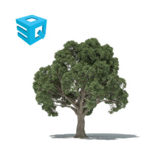 Forester for Cinema 4D