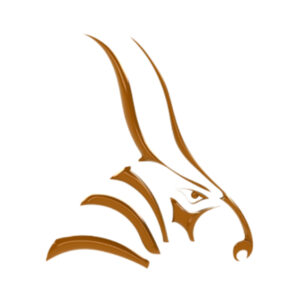 Bongo 2.0 for Rhino 3D